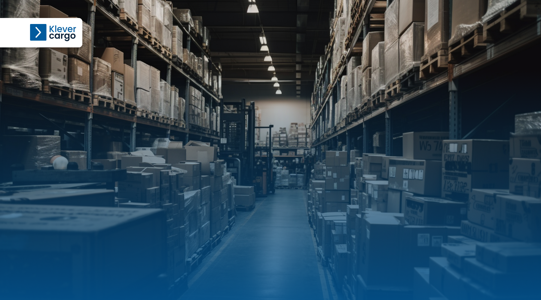 warehousing-processes-and-fucntions